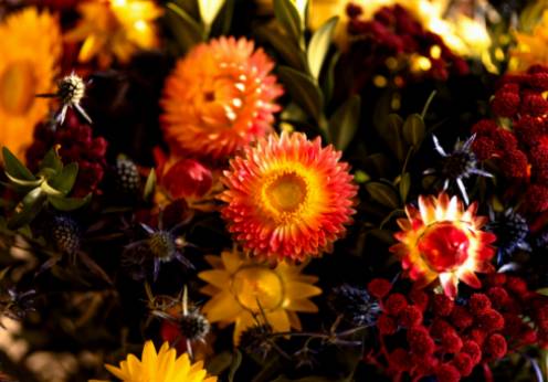 DIY レッドハイブリッドティーローズのブーケ：上品な花のアレンジメントであなたの家を飾り上げましょう
